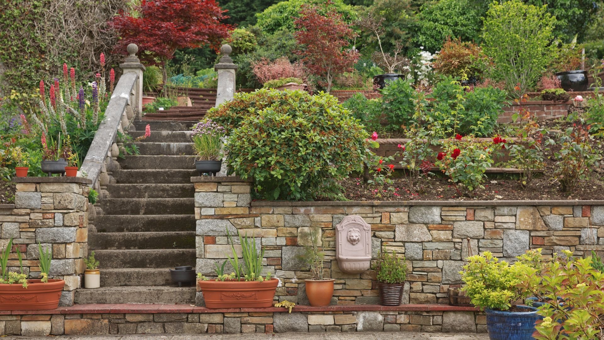 Terraced garden with stone steps, potted plants, and colorful flowers