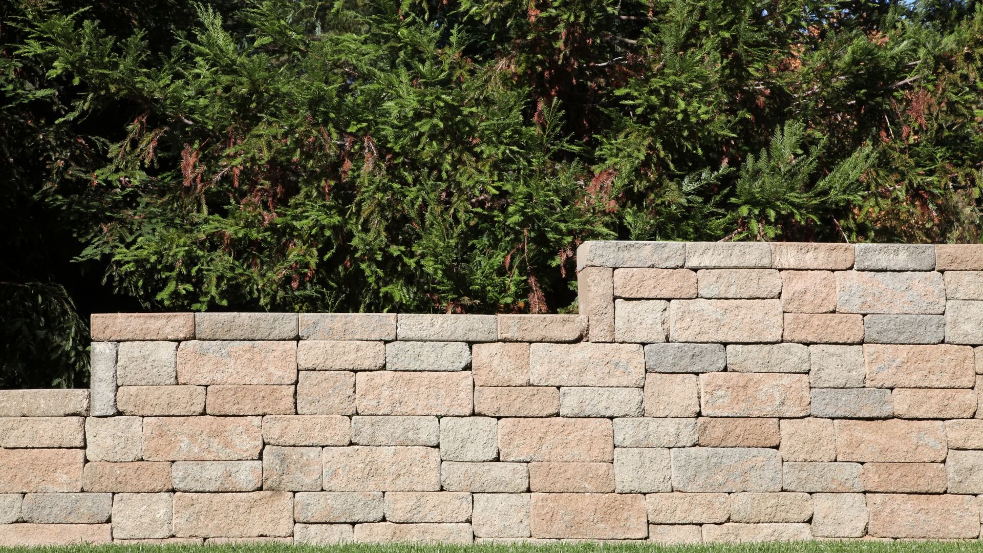 Stone retaining wall with evergreen trees in background